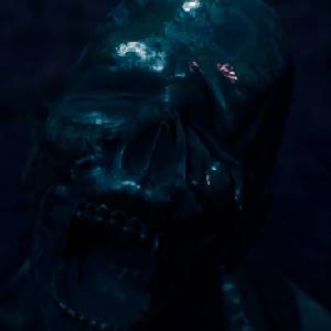 THE ORIGIN Blind Maid - Entité