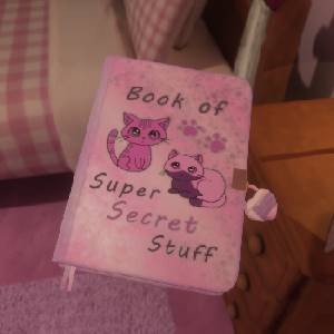 The Quiet Things - Journal