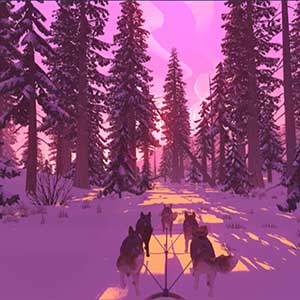 survivre dans la nature