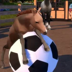 The Sims 4 Horse Ranch Expansion Pack Poulain