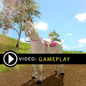 The Unicorn Princess - Jeu PS4 - Édition Française, Neuf Sous Blister