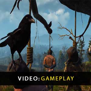The Witcher 3 Wild Hunt Vidéo de jeu