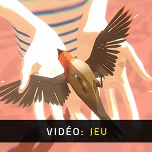 The Wreck - Vidéo Gameplay