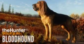 theHunter - Call of the Wild | Développement du limier
