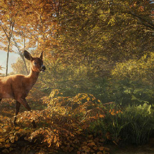 theHunter Call of the Wild - Viser juste