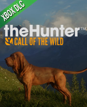 theHunter Call of the Wild Bloodhound Xbox One