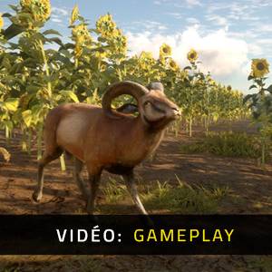 theHunter Call of the Wild Cuatro Colinas Game Reserve - Vidéo de Jeu