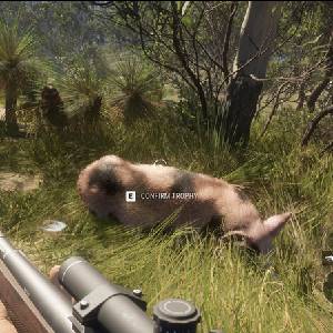 theHunter Call of the Wild Emerald Coast Australia - Bouton Confirmer le Trophée
