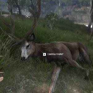 theHunter Call of the Wild Emerald Coast Australia - Le Grand Cerf Sika