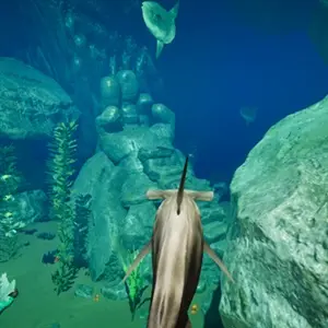 Time is Life - Requin