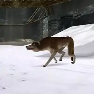 Tomb Raider I-II-III Remastered - Loup