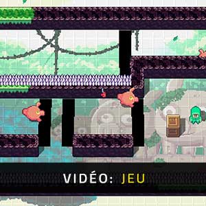 Toodee and Topdee Vidéo de gameplay