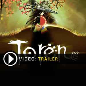 Acheter Toren Clé Cd Comparateur Prix