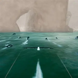 Toroa: Skycall – Dauphins