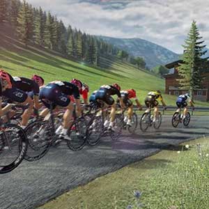 Tour De France 2021 Roadside