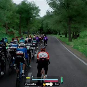 Tour de France 2026 - Forêt Verte