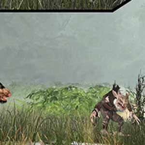 Multijoueur coopératif