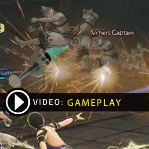 Warriors All-Stars PS4 Gameplay Video