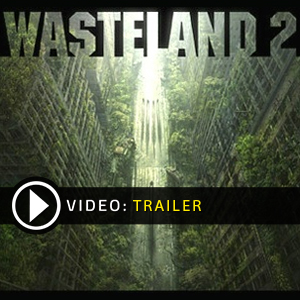 Acheter Wasteland 2 Clé CD Comparateur Prix