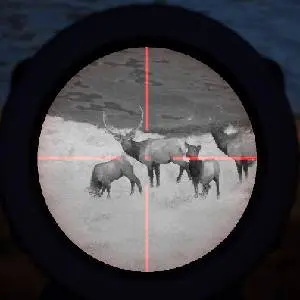 Way of the Hunter - Night Hunting Pack - Mire de fusil