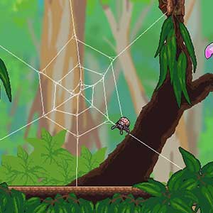Webbed - Toile D'araignée