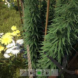 cultivateur de mauvaises herbes