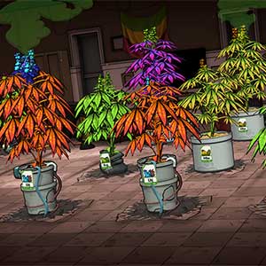 manage a growing staff