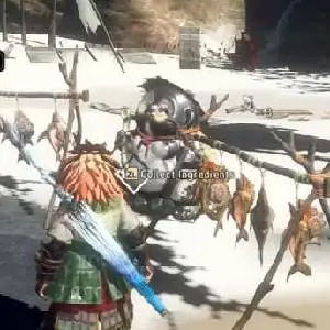 WILD HEARTS S - Collecter des Ingrédients