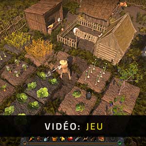 Wild Terra 2 New Lands - Vidéo du jeu