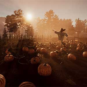 Wild West Dynasty - Champ de citrouilles