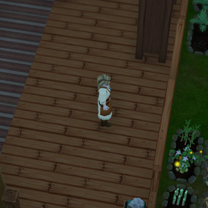 Winkeltje The Little Shop - Nuit