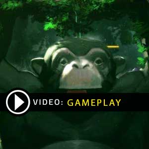 Yokus Island Express Xbox One Gameplay Video
