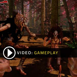 Zeno Clash 2 Gameplay Vidéo